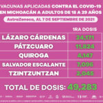 total de vacunas adultos