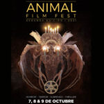 animal film fest