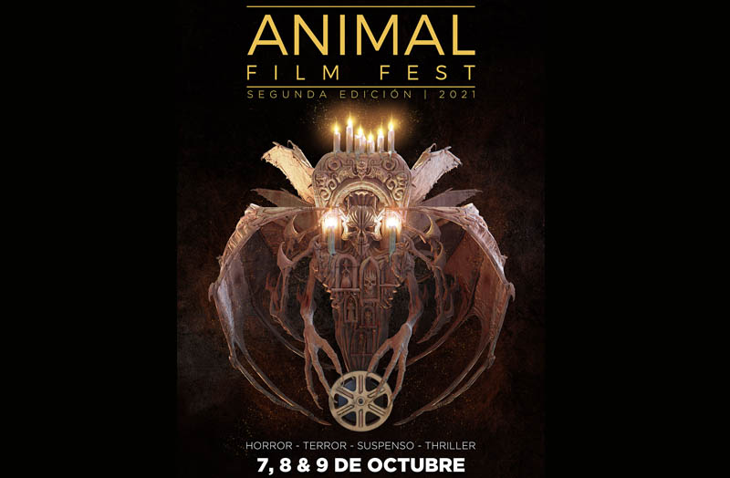 animal film fest