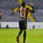 Leones Negros