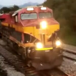 paso del tren mich