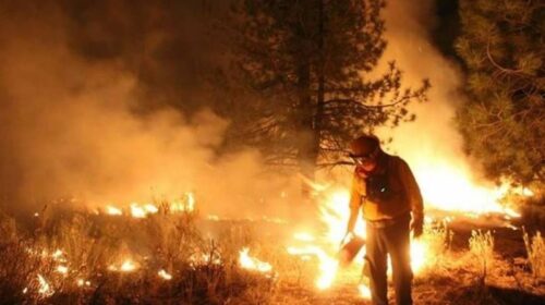 Incendio forestal