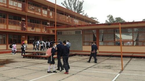 Niños Primaria
