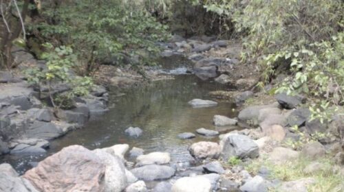 riesgo de sequía extrema
