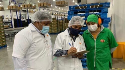 inspectores