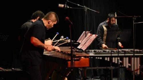 Concierto didáctico