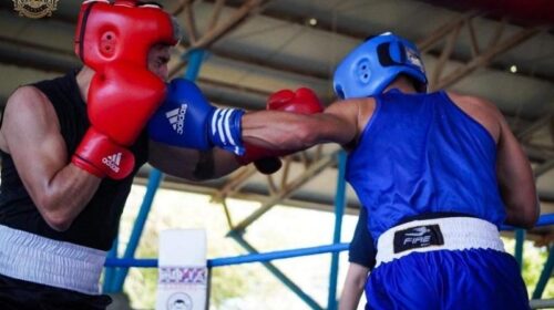 box en Morelia