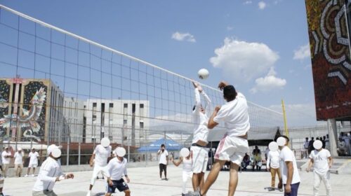 voleibol