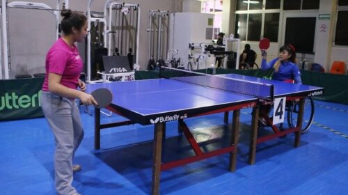 Copa de Tenis de Mesa