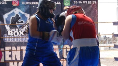 Boxeadores