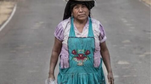 Personas que laboran en el campo