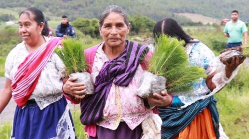 comunidades indígenas