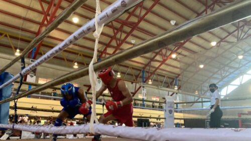 Boxeadores