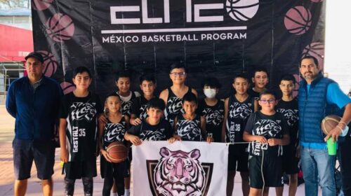 Tigres blancos