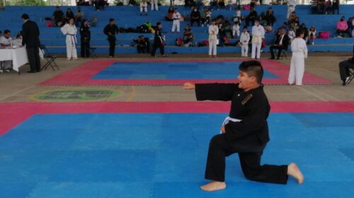 Karate-do Shito-Ryu