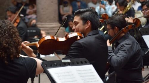 Violinista