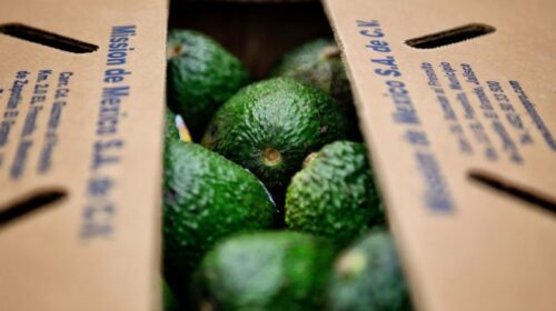 Aguacates