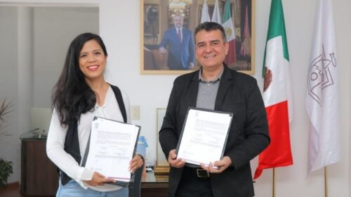 opciones educativas accesibles
