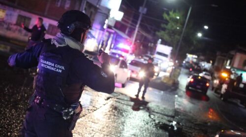 SEGURIDAD PÚBLICA