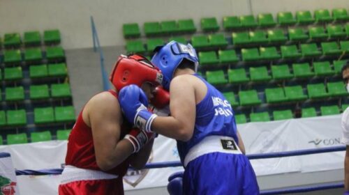 BOXEADORES